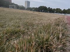 -绿草地·湘菜(芙蓉天街店)