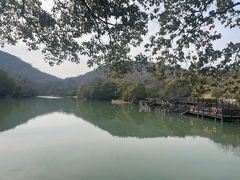 -白马涧龙池景区