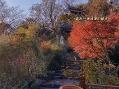 -宝界山林公园