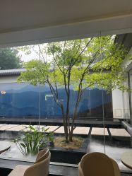 -爱儿美儿童摄影(朝阳公园店)