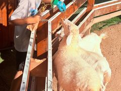 -HERRE·FARM 赫尔露营农场·团建聚会包场