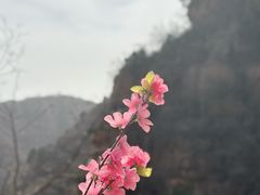 -京东石林峡风景区