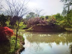 -绍兴古城