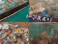 -金辉海鲜餐厅