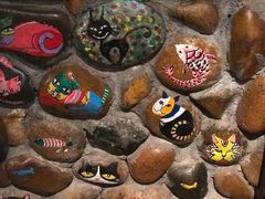 -猫咪博物馆(顶澳仔猫街店)