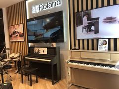 -柏斯琴行(汾阳店)