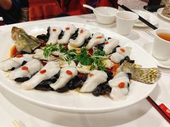 木耳蒸桂鱼-广州酒家(文昌总店)