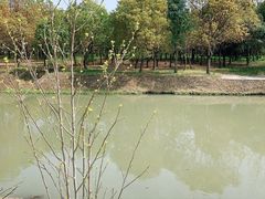 -嘉北郊野公园北游客中心-地上停车场