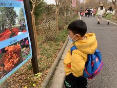 -武汉紫薇都市田园