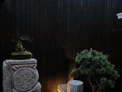 -觀芷隐轩