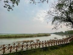 -野鸭湖国家湿地公园