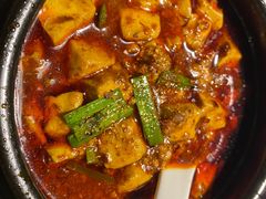 -陈麻婆豆腐总店