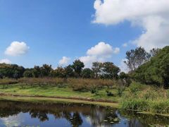 -同里国家湿地公园