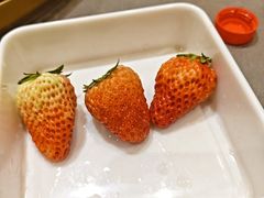 -玫瑰花园自助烤肉(朝阳北路店)