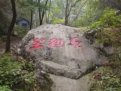-王顺山国家森林公园