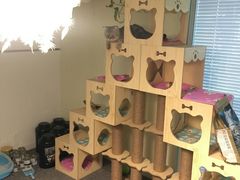 -炼呗运动康复·健身工作室(紫竹桥店)