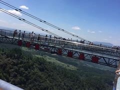 -梦幻奥陶纪景区