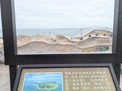 -广东惠东海龟国家级自然保护区