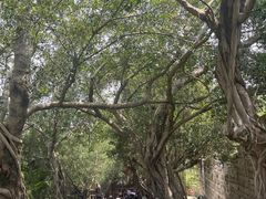 -胡里山炮台