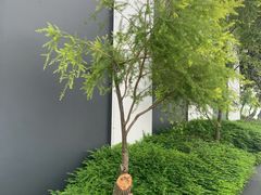 -达士岭