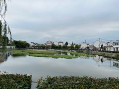 -金山嘴渔村