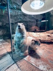 -Zoolung Zoolung动物主题公园(海信广场店)