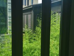 -上海崇明金茂凯悦酒店