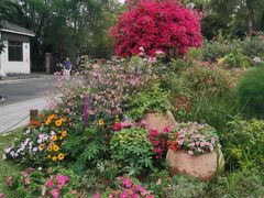 -东莞植物园