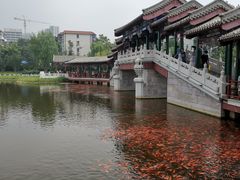 -西海子公园