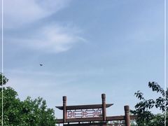 -御林古桑园