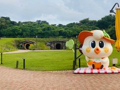 -济州森林小火车生态公园
