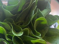 -南门四季铜锅涮肉(大屯·北苑店)