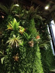 -V-STAR威斯达•高级私人定制