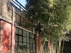 -胶囊画廊