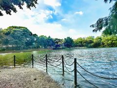 -荔湾湖公园