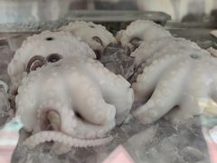 -铭聚章鱼土笋冻(松柏店)