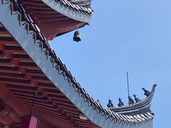 -上海东林寺(金山区)