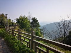 -铁山坪森林公园