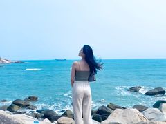 -广东惠东海龟国家级自然保护区