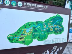 -西双版纳原始森林公园