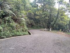 -广州市帽峰山景区