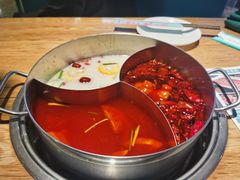 -青瓷火锅料理(西单大悦城店)