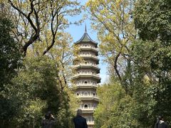 -灵谷景区