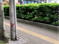 -Ms.Pilates 普拉提技术(尚悦湾陆家嘴店)