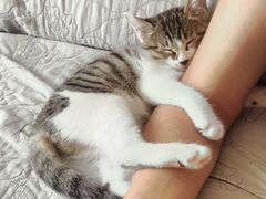 -美联众合24小时·皮肤科·外科·全科诊疗中心(华苑分院)