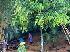 -西双版纳勐泐文化旅游区