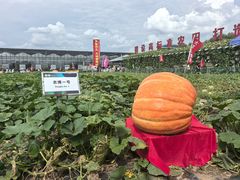 -长春农业博览园