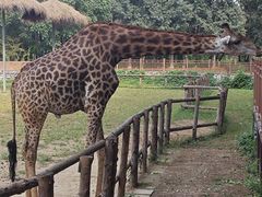 -北京野生动物园