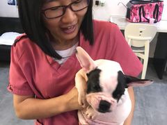 -严国平动物医院(德政总院)