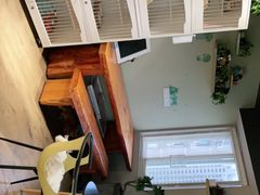 -东方名猫馆·英短金渐层布偶猫舍(环线广场1号楼店)